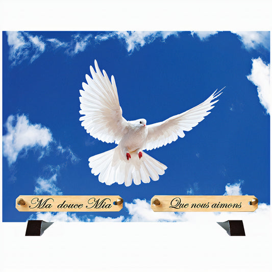 Plaque funéraire Colombes dans le ciel