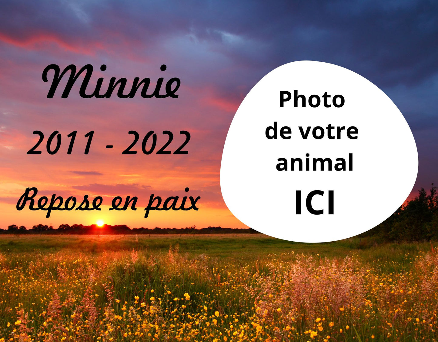 Plaque Animaux Campagne