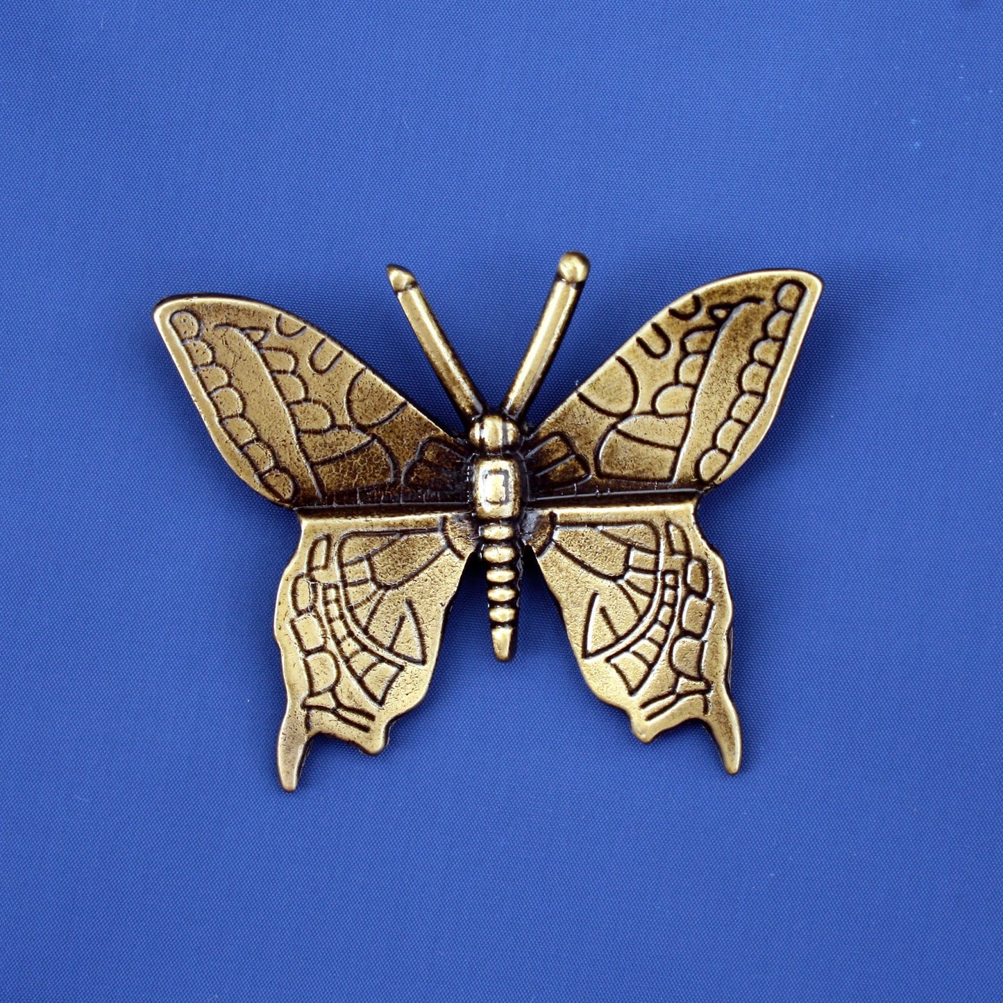 Bronze papillon