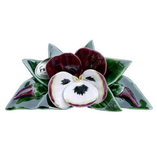 Pensées boutons Bordeaux